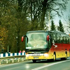 Autobus Bałtyk jedzie drogą wśród drzew.