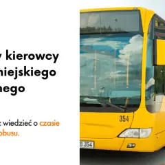 Ile godzin może jechać kierowca busa? Poznaj ważne przepisy i limity