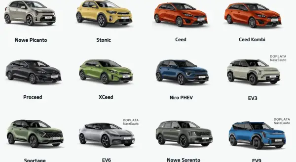 Różnorodne segmenty samochodów: od miejskich Picanto i Stonic, przez rodzinne Ceed, XCeed, Proceed, po SUV-y Sportage, Sorento i elektryczne EV3, EV6, EV9.