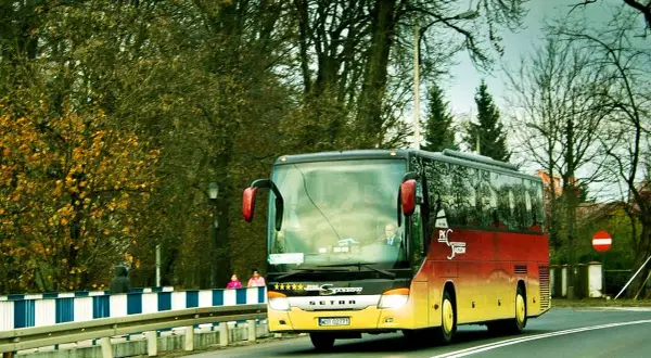 Autobus Bałtyk jedzie drogą wśród drzew.