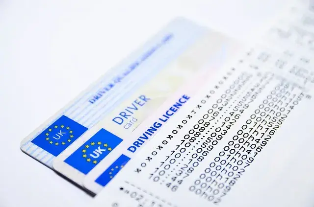 Profil kandydata na kierowcę co potrzebne: uniknij błędów i kosztów