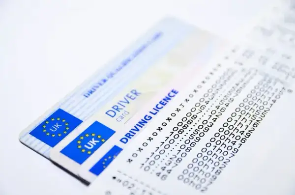 Profil kandydata na kierowcę co potrzebne: uniknij błędów i kosztów